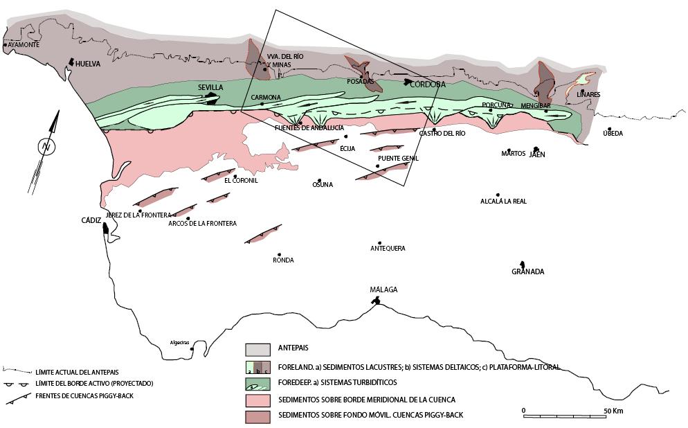 La heterocronía que muestra el desplazamiento del borde sur de la cuenca, más moderno hacia posiciones occidentales, sugiere que durante el Tortoniense superior, la tectónica actuó de modo paulatino