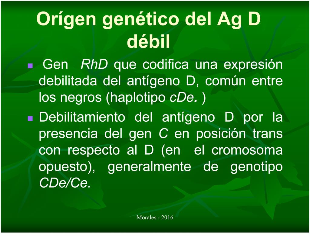 Orígen genético del Ag D débil Gen RhD que codifica una expresión debilitada del antígeno D, común entre los negros (haplotipo cde.