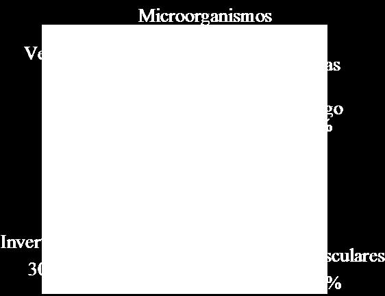 2. Representación taxonómica En la síntesis que se presenta a continuación se considera arbitrariamente a los siete grupos que están representados en la figura 7.