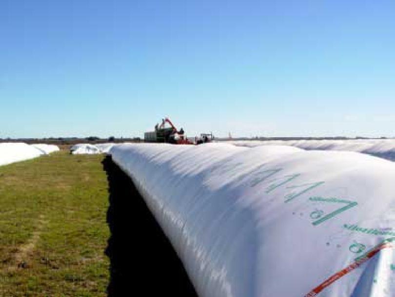En el año 2007 aproximadamente 35 millones de toneladas de grano fueron almacenadas en sistemas herméticos de almacenaje (silo-bolsa) en Argentina, y cerca de 5 millones de toneladas correspondieron