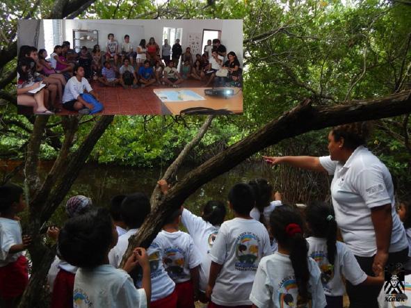 Conservación en el Parque Nacional Arrecifes de Xcalak Educación y cultura ambiental. La educación ambiental es una herramienta ampliamente usada en el pnax para apoyar a la conservación.