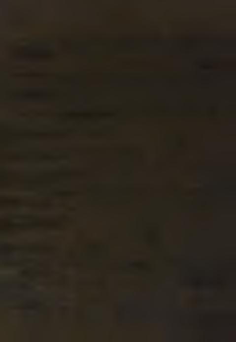 26 BOLETÍN MUSEO NACIONAL DE HISTORIA NATURAL como por sustitución (zarzamora, murtilla, maqui, eucalipto, pinos y cipreses), extracción por forrajeo, y alteración Adiantum gertrudis Espinosa "palito
