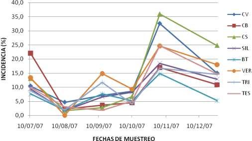 29 Figura 11. Efecto de tratamientos sobre la incidencia de roya durante el ciclo 2007-2008, en la finca La Ilusión, El Doradito, Murra, Nueva Segovia.