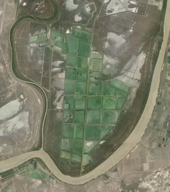 Zona de estudio Humedal secado para agricultura en 1930 Reconvertido a la acuicultura en 1980 Cuarenta y cinco estanques de 70ha Plataforma central de 0.5m Canal periférico profundo 1-1.