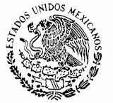 SECRETARIA DE COMERCIO Y FOMENTO INDUSTRIAL NORMA MEXICANA NMX-AA-114-1991 CONTAMINACION ATMOSFERICA - FUENTES FIJAS - DETERMINACION DE LA DENSIDAD DEL HUMO EN LOS GASES DE COMBUSTION QUE FLUYEN POR