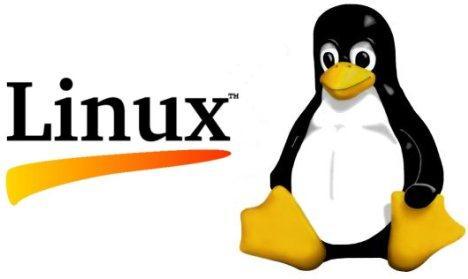 Software gratuito (LINUX) Es uno de los principales ejemplos de software libre.