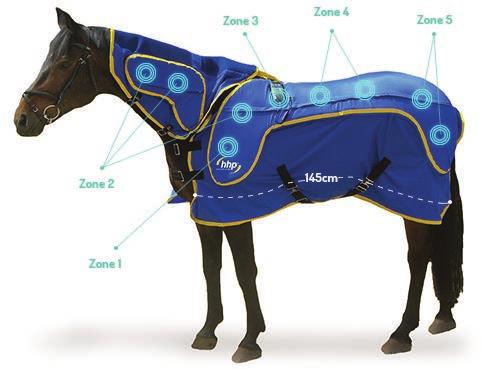 ANDUVET Made in Germany CUIDA DE TU CABALLO OFERTA EXCLUSIVA ANDUVET es un dispositivo de alta tecnología para cuidar de tu caballo y mejorar su salud a nivel muscular y articular.