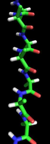 Slide 93 / 139 Proteína: estructura primaria La estructura primaria de una proteína es la secuencia de aminoácidos que la componen.
