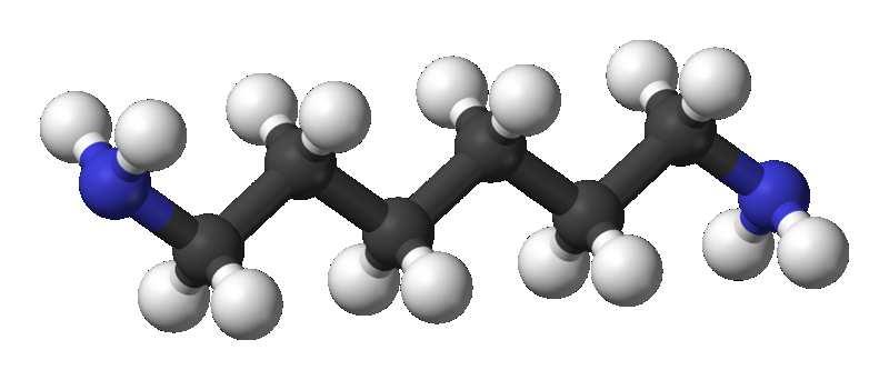 Slide 8 / 139 Química orgánica Los átomos de carbono pueden formar