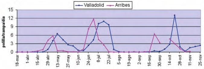 Figura 6: Curva media de vuelo del prays en las parcelas de Valladolid y en cuatro parcelas de los Arribes en 2008 los Arribes se constata un atraso de entre dos y tres semanas.
