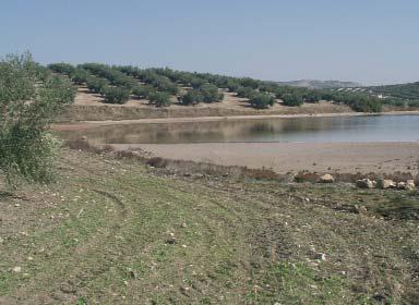 Evaluación ambiental de los humedales de Andalucía zación son problemas habituales en los sistemas acuáticos, que se agudizan especialmente cuando se trata de aprovechamientos agrícolas intensivos en