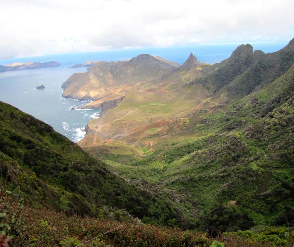 R O D A O B R R Conservación y restauración ecológica de las islas de Juan Fernández Avance de