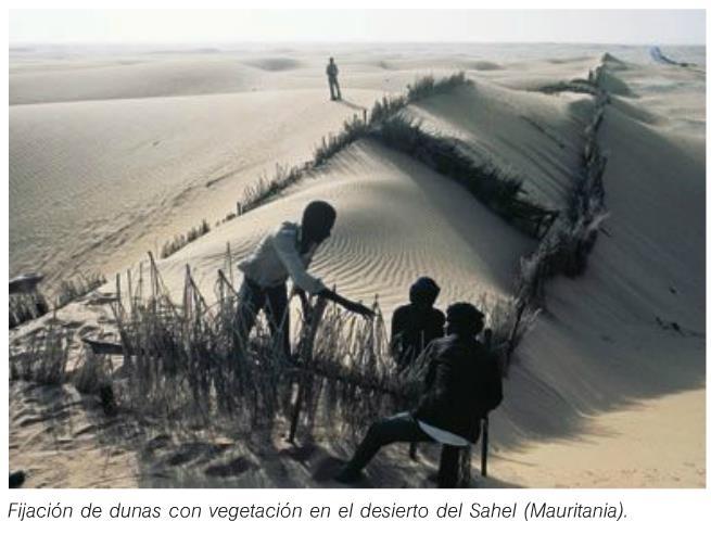 Desplazamiento de dunas