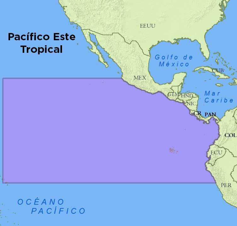 EL PACÍFICO ESTE TROPICAL El Pacífico