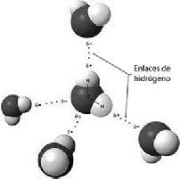 de hidrogeno unido covalentemente a otro átomo electronegativo.