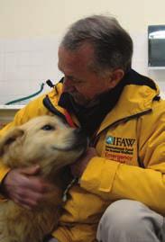 El IFAW acude a ayudar mamíferos marinos varados o enredados