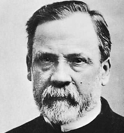Antecedentes En 1857, Pasteur descubre a las bacterias del ácido láctico (BAL).