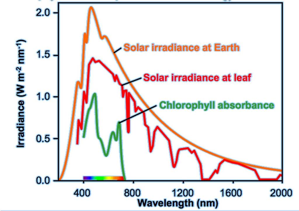 - Las principales longitudes de onda que llegan a la atmosfera terrestre están comprendidas entre el UV cercano hasta el IR (figura derecha, amarillo).