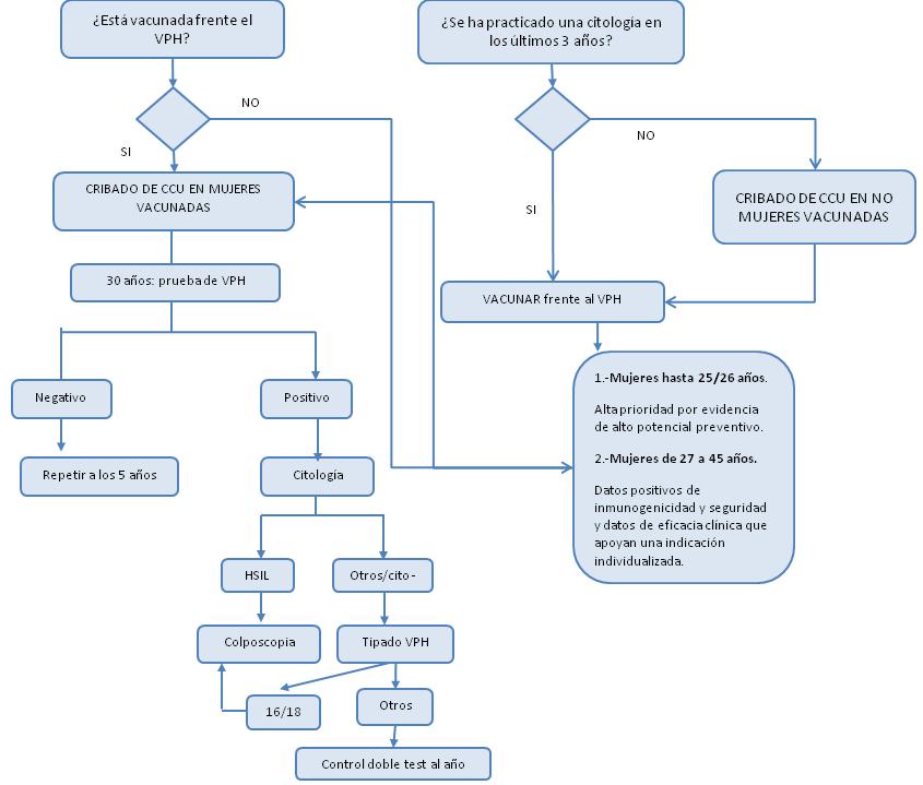 I-INTRODUCCION Ilustración 15. Prevención primaria y secundaria de los canceres de cuello de útero vulva: recomendaciones para la práctica clínica.adaptado de Cortés y cols (2010).