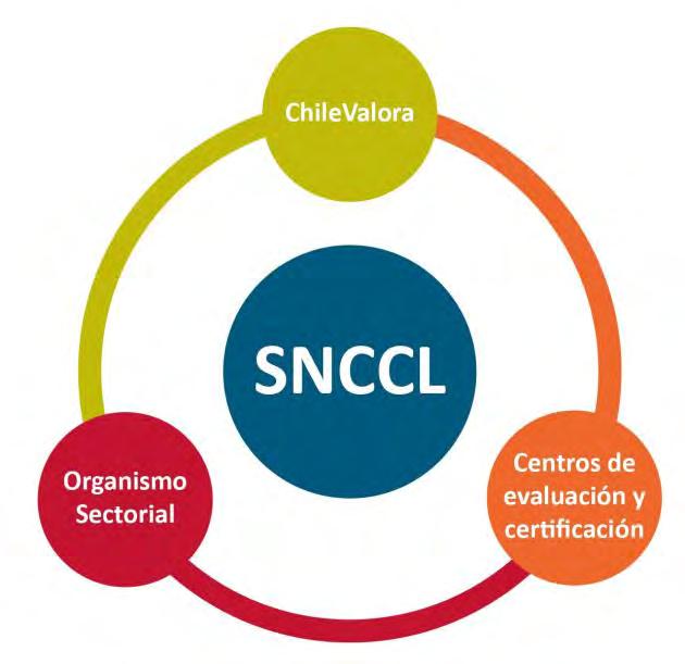 2. Los actores del Sistema Nacional de Evaluación y Certificación de Competencias Laborales (SNCCL): 2.
