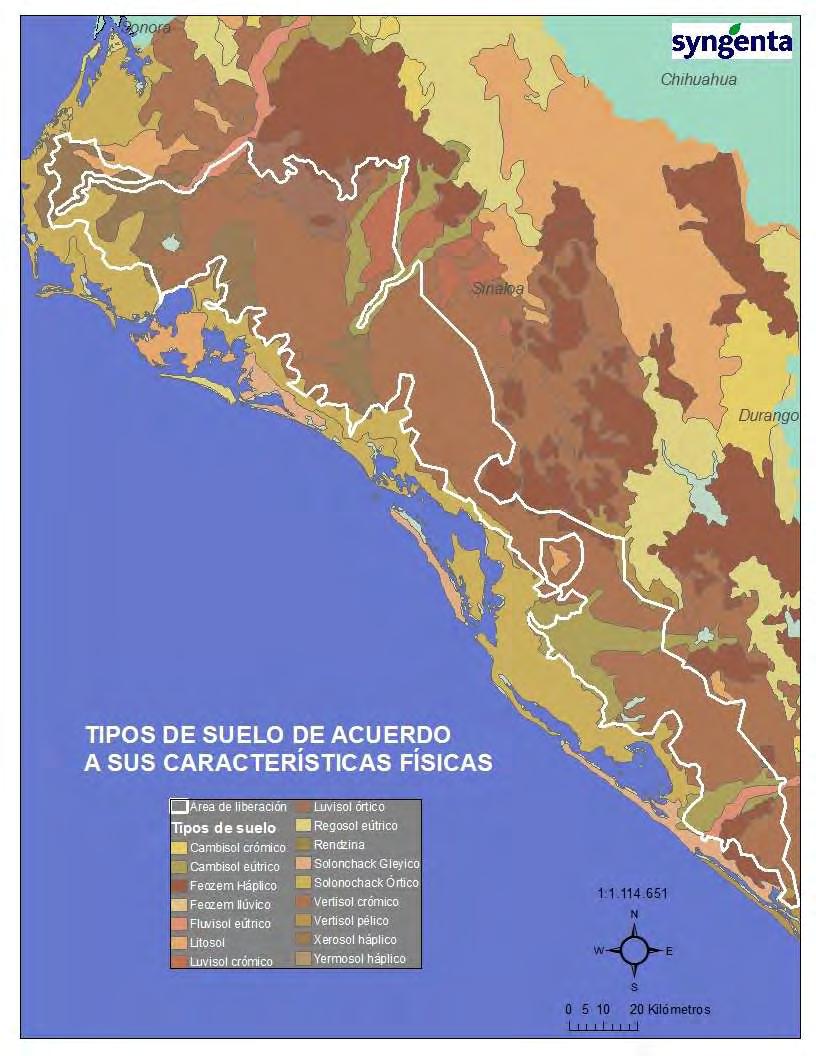 Figura 8. Mapa de los tipos de suelo según clasificación por sus propiedades físicas que se encuentran en Sinaloa y en particular en el área de liberación 30.