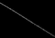 Espinas triangulares y pequeñas, la mayoría de 0,05 a 0,07 mm de alto, dispuestas en 7 a 8 filas, con 35 a 50 espinas por cm en cada fila.