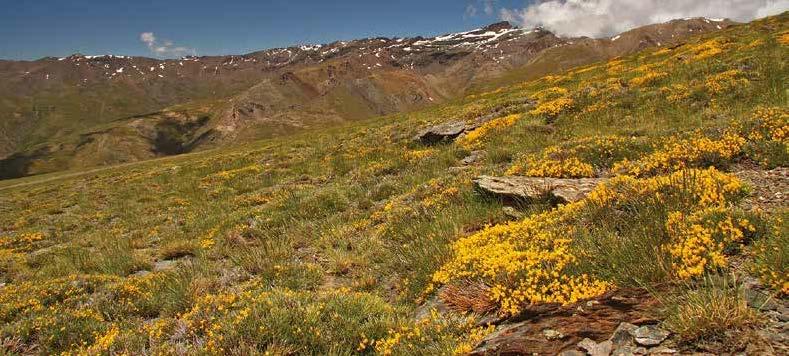 Huéscar Baza 10 Guadix Loja Granada Las cumbres del Parque Nacional de Sierra Nevada, el segundo macizo montañoso en