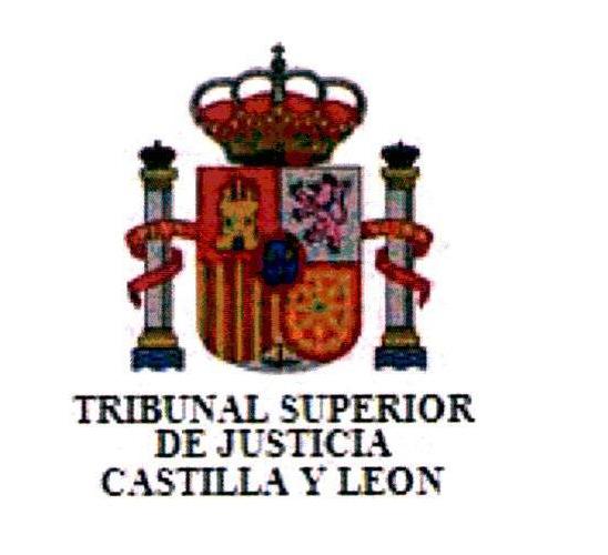 Protocolo de actuación conjunta entre la Consejería de Familia e Igualdad de Oportunidades de la Junta de Castilla y León, y el Tribunal Superior de Justicia de Castilla y León, para la coordinación