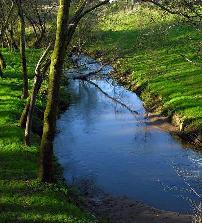 Introducción 03 / 28 OBJETIVOS PRINCIPALES Evaluar el impacto ambiental sobre el hábitat térmico en los ríos españoles