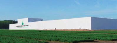 ADVAN- TA. La venta de ADVANTA, propició que se uniesen en una sola marca para ser adquirida por FLORIMOND DESPREZ, (empresa francesa de semillas de remolacha).