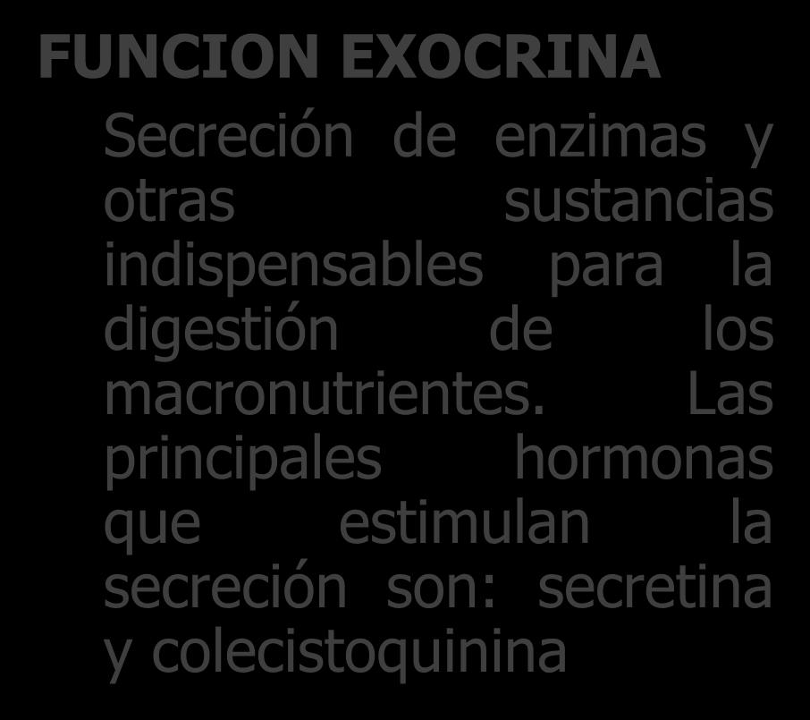 PANCREAS FUNCION EXOCRINA Secreción de enzimas y otras sustancias