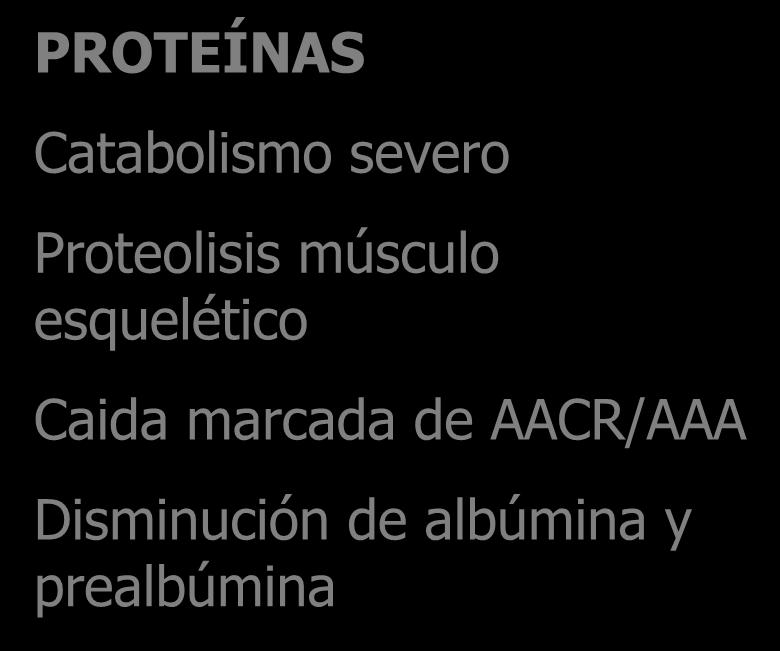 NUTRIENTES Y PANCREATITIS PROTEÍNAS Catabolismo