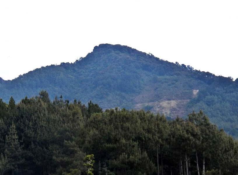 Macizo rocoso Cerro El Pital,