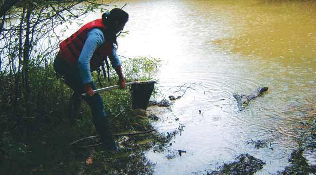 MACROINVERTEBRADOS ACUÁTICOS EN EL PARQUE NACIONAL NATURAL AMACAYACU (AMAZONAS-COLOMBIA): basis for assess the biological condition and extend the study of biological integrity to other ecosystems in