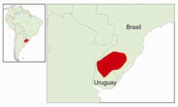 Mapa de distribución de Homonota uruguayensis Durante los estudios de caracterización se pudo determinar que se trata de una población en el límite de distribución (al sur) de la especie en el país,
