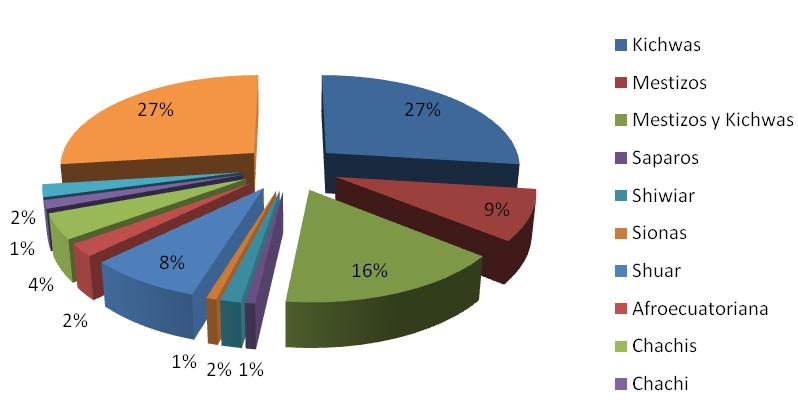 Son varios los beneficiarios por etnias registrados hasta el mes de junio del 2013 (Ver Figura 6) Figura 6: Porcentaje de beneficiarios por Etnias En cuanto a género, el PSB buscó incluir este tema