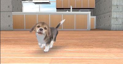 Caminar con el perro desde una nueva perspectiva En la versión para Nintendo DS, el mapa se ubicaba en la pantalla superior y el cachorro se desplazaba horizontalmente.