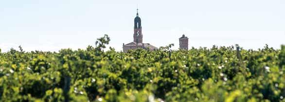 Viñedos Matapozuelos TRAS LA PISTA DE LA UVA VERDEJO Esta ruta, de 115 kms, recorre lugares históricos como Tordesillas y, a la vez, nos permite adentrarnos en la D.O. Rueda, cuya uva autóctona, la verdejo, produce excelentes vinos blancos.