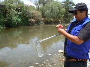 4.2 Estado ambiental de la cuenca del río Guadalquivir año 2015. 4.2.1 Calidad de los cuerpos de agua de la cuenca del río Guadalquivir para el año 2015.