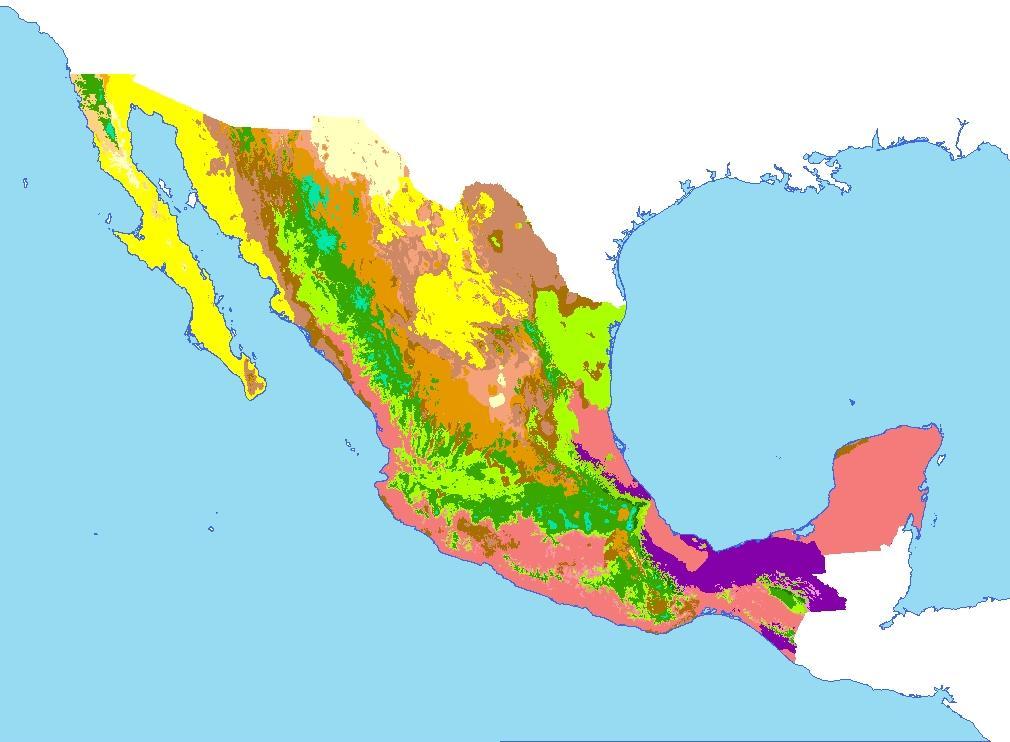 Tipos de Clima en México Grupo A Tipos de Clima Grupo B Cálido Húmedo Cálido Semiseco Cálido Subhúmedo Semicálido Húmedo Semicálido Subhúmedo Grupo C Semicálido Húmedo Semicálido subhúmedo