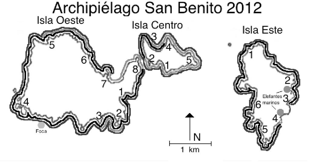 Figura 10. Distribución de las colonias de pinnípedos en el archipiélago durante el verano de 2012 e invierno de 2013. Negro: A. townsendi, Gris claro: M. angustirostris, Gris oscuro: Z.