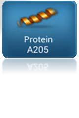 han simplificado cuantificación de pequeñas cantidades de proteína a través de métodos A205.