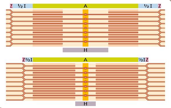 ULTRAESTRUCTURA DE MIOFIBRILLAS Miofibrillas = corresponden a miofilamentos de actina y de miosina: Filamentos de actina: 6 nm de Ø y 1 µm de longitud.