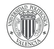 UNIVERSIDAD POLITÉCNICA DE VALENCIA Facultad de Bellas Artes Departamento de Pintura TESIS DOCTORAL VISIONES DEL