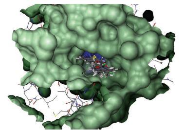 TECNOLOGIA Inhibidores N-BOOST Ureasa Análogos estructurales No Análogos Hidroxiurea Tiourea