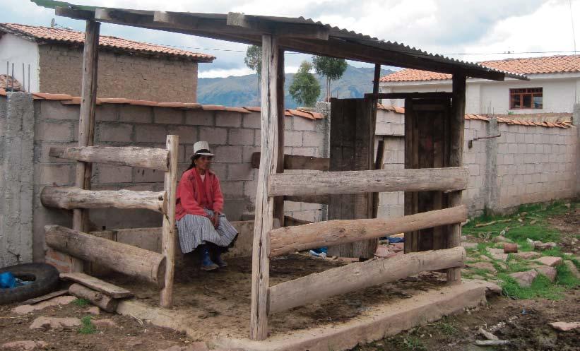 Desarrollo en la Cadena Productiva de Lácteos - Cusco Introducción El fin del Proyecto Desarrollo de la cadena productiva de lácteos en la Región Cusco es promover la articulación comercial de los