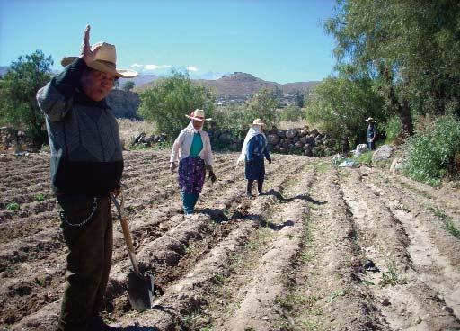 Historias de vida Cornelio Flores Flores Agricultor Ecológico Miraflores Productor de hierbas aromáticas y hortalizas tiene un terreno de 150 m 2 y 2.