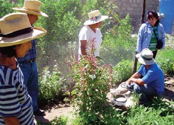 Desde el año 2009 hasta el 2011, Catholic Relief Services (CRS) en un trabajo conjunto con las instituciones La Asociación de Promoción y Desarrollo - ONG El Taller y Caritas del Perú Sede Cusco
