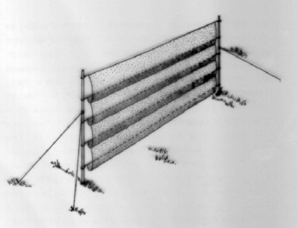 Figura 4. Red de niebla (Mist net) desplegada en forma simple para la captura de murciélagos.