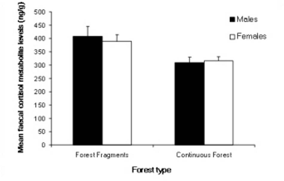 Figura 3. Concentraciones de cortisol fecal correspondientes a estrés crónico en monos aulladores (Alouatta pigra), en dos tipos de bosques (conservados y transformados).